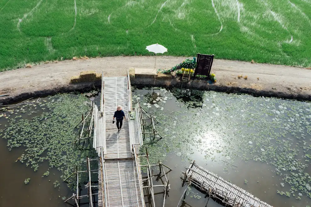 Waste Water Treatment & Management Mengubah Industri Mengolah Limbah
